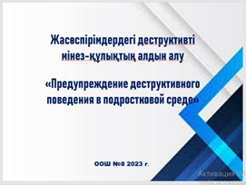 «Реализация проекта БЕСТЕРЕК в предупреждении деструктивного поведения в подростковой среде»