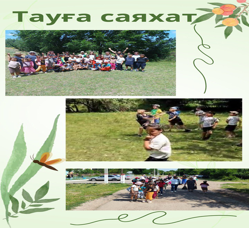«Zhaz online» тауға саяхат
